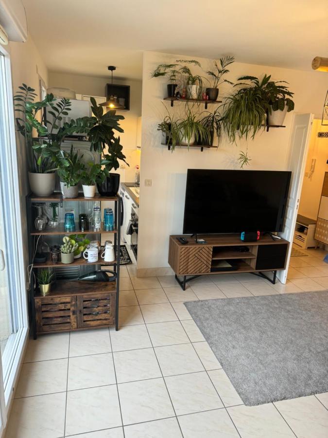 Appartement Centre Avec Balcon Parking Prive Orléans Dış mekan fotoğraf