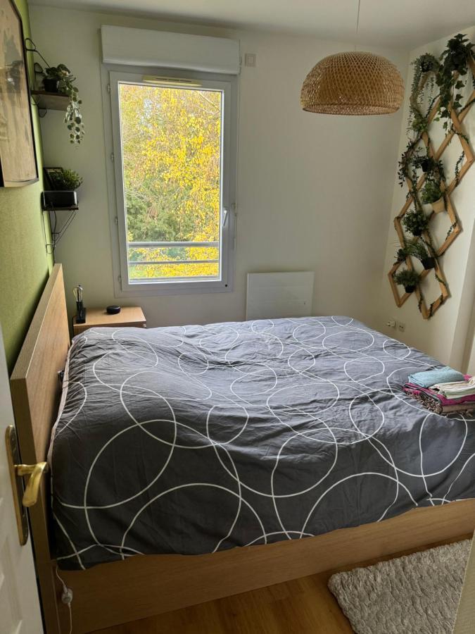 Appartement Centre Avec Balcon Parking Prive Orléans Dış mekan fotoğraf